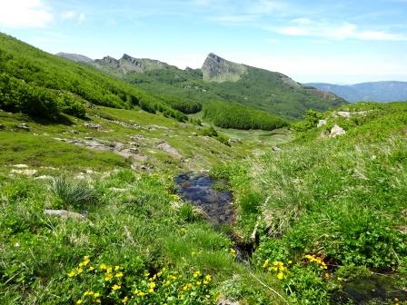 Appennino parmense, Lagoni, alta valle di Badignana con Roccabiasca