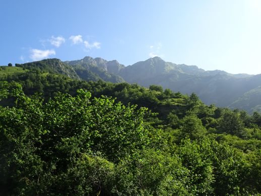 Monte Alto Camporaghena