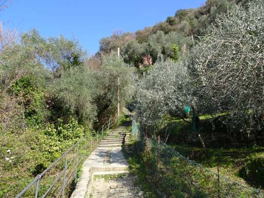 scalinata Punta Chiappa San Rocco