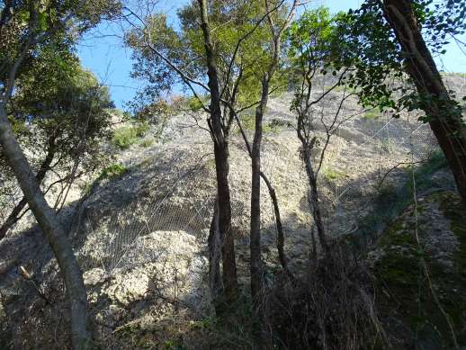 sentiero Punta Chiappa