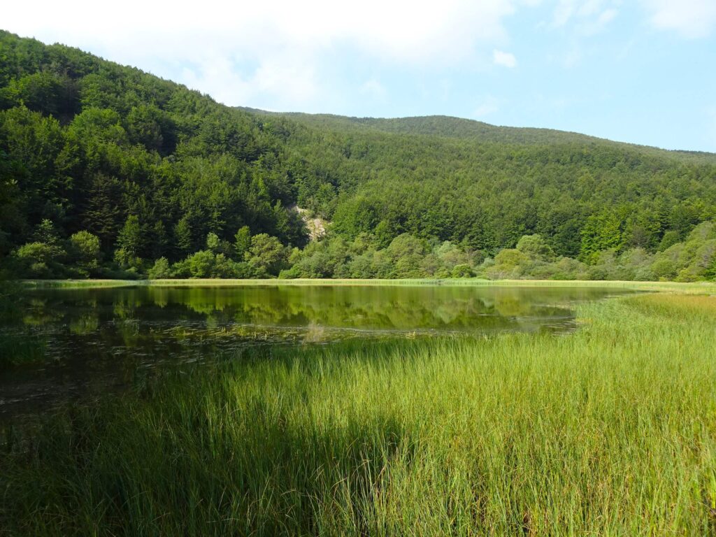 Lago Verdarolo