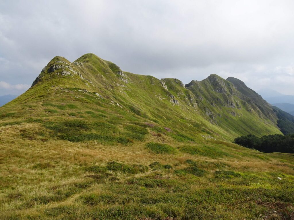 Pitturina Cima Canuti