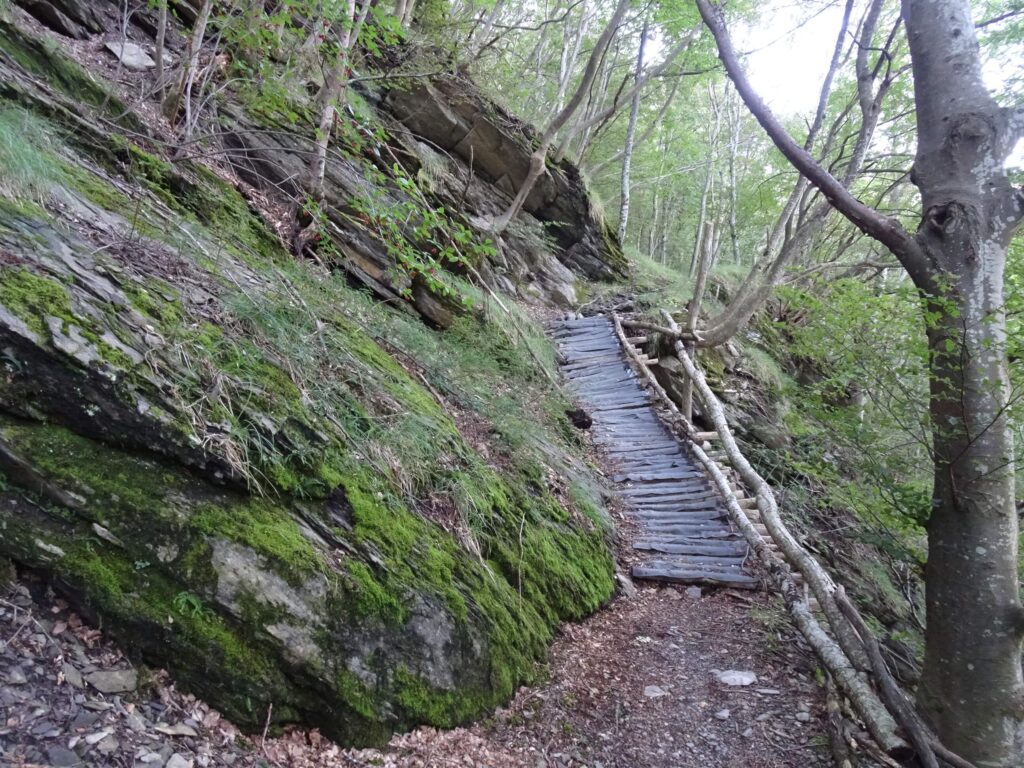 Sentiero 109 Monteacuto delle Alpi