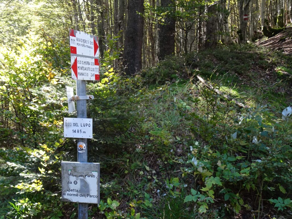 Passo del Lupo Appennino bolognese