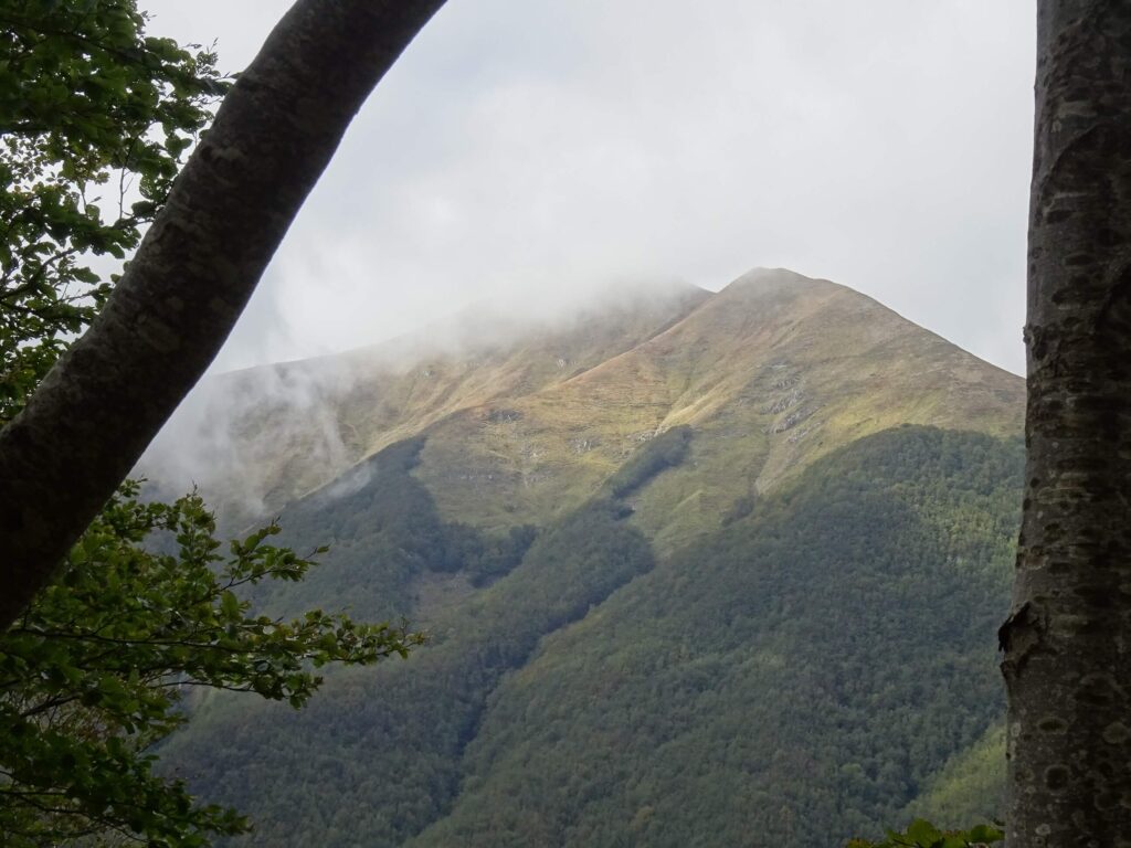 Monte Gennaio