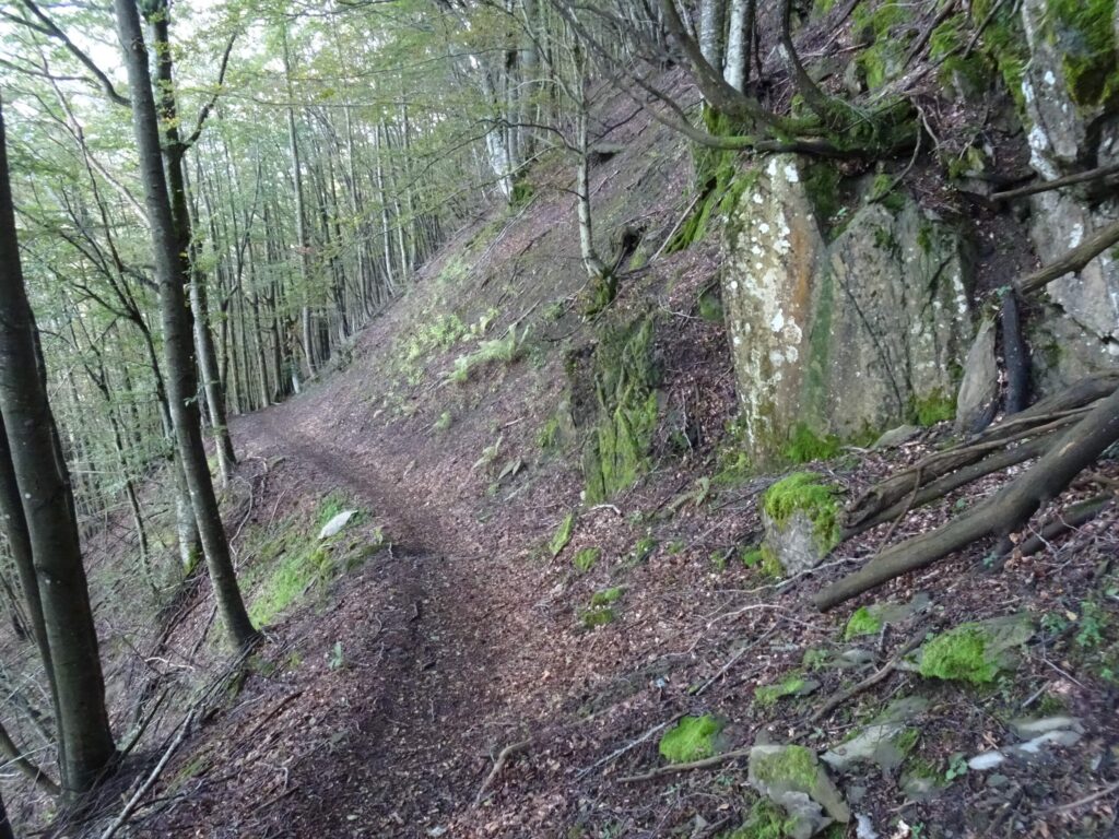 Sentiero 111 Appennino bolognese