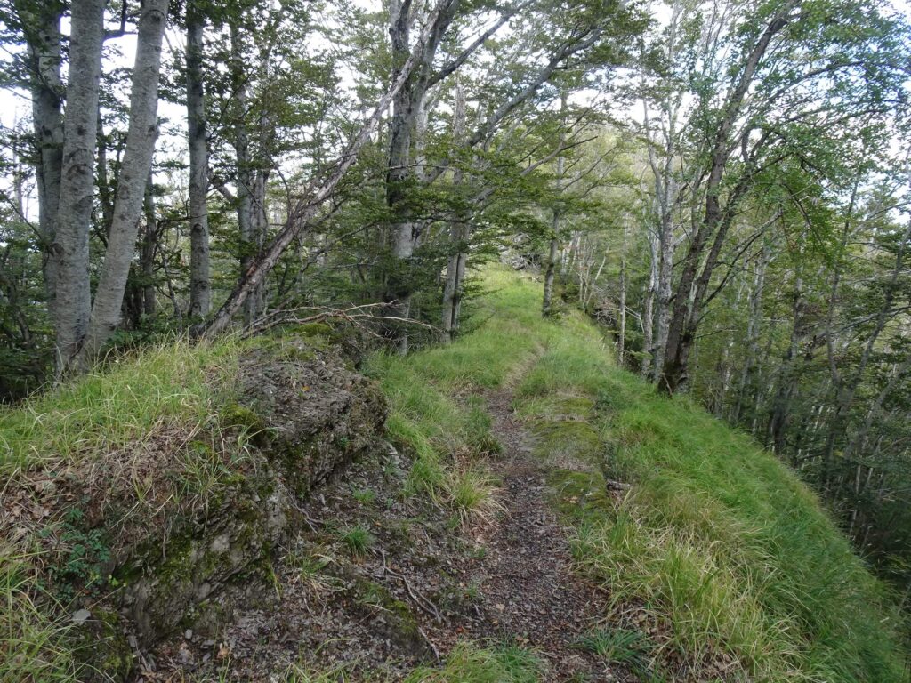 Sentiero 111 Appennino bolognese