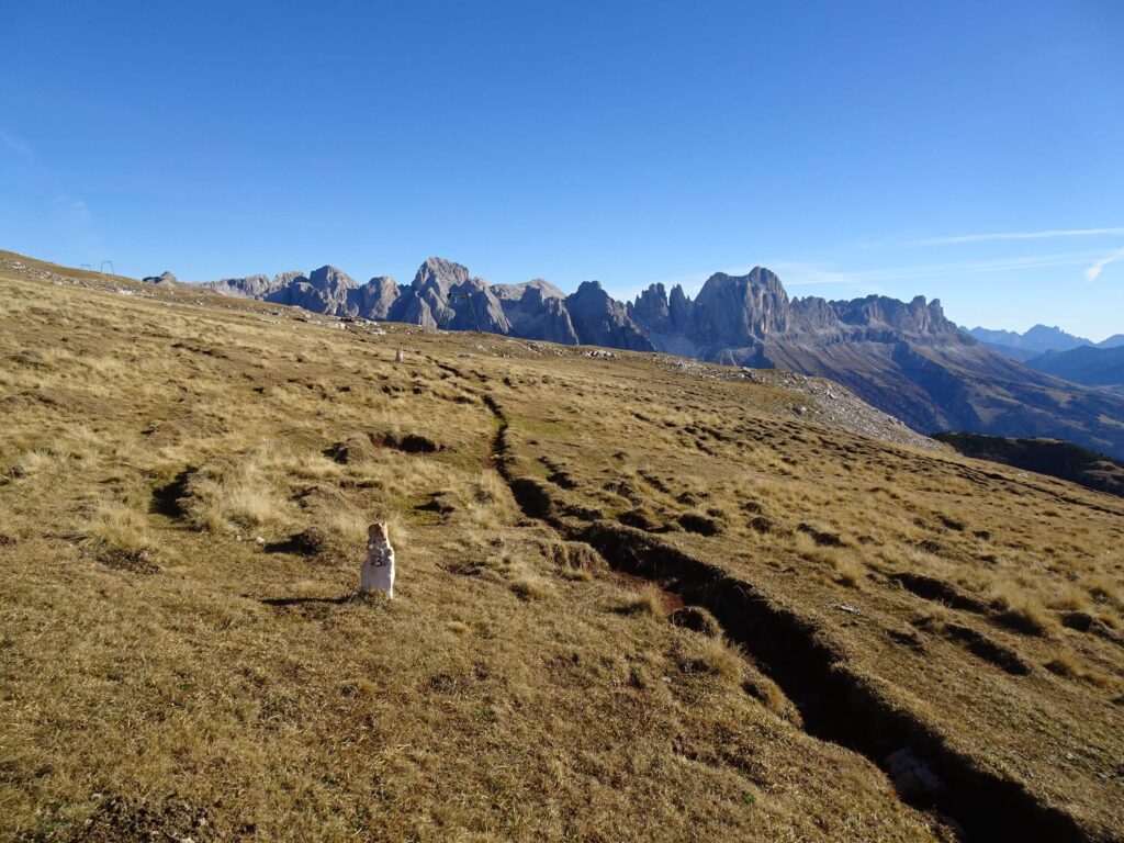 Catinaccio panorama