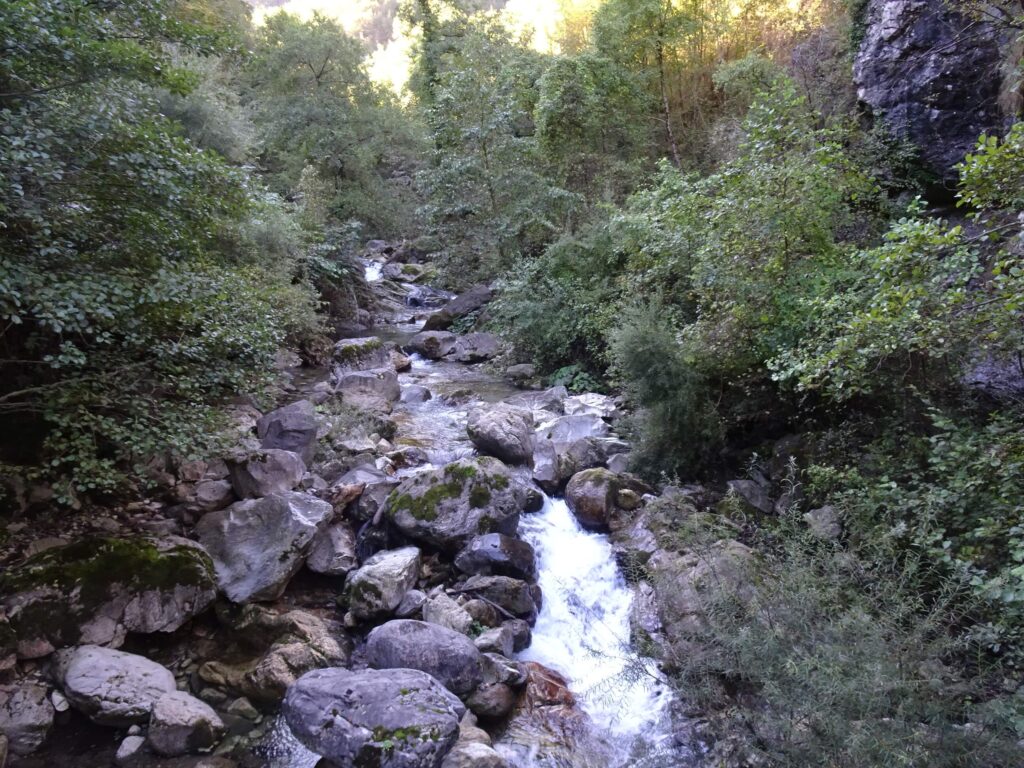 Torrente Lucido