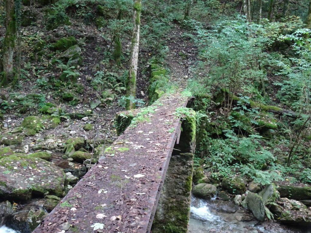 Ponte sul torrente Lucido