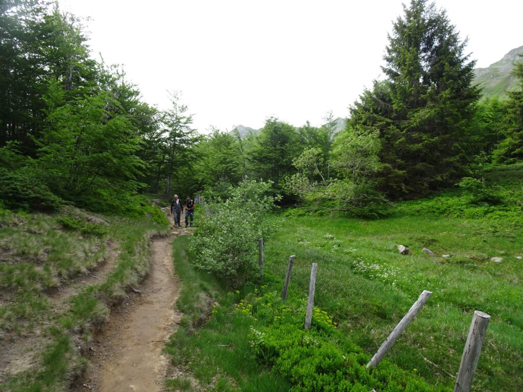 sentiero 529 Lago Santo Passo Boccaia